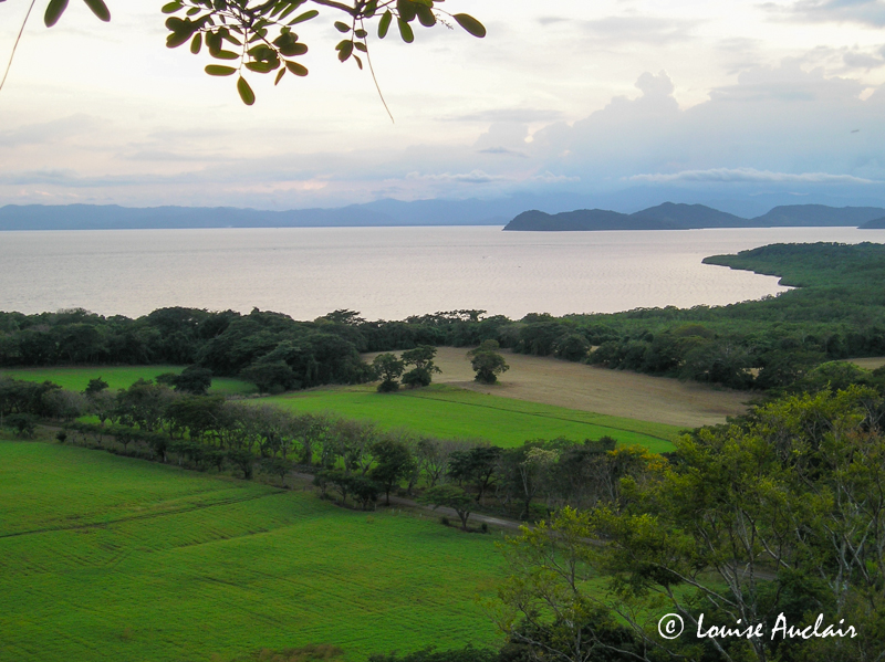 Vue sur le golfe Nigoya