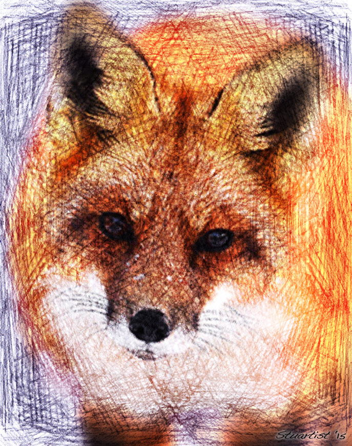 Fox Scribble