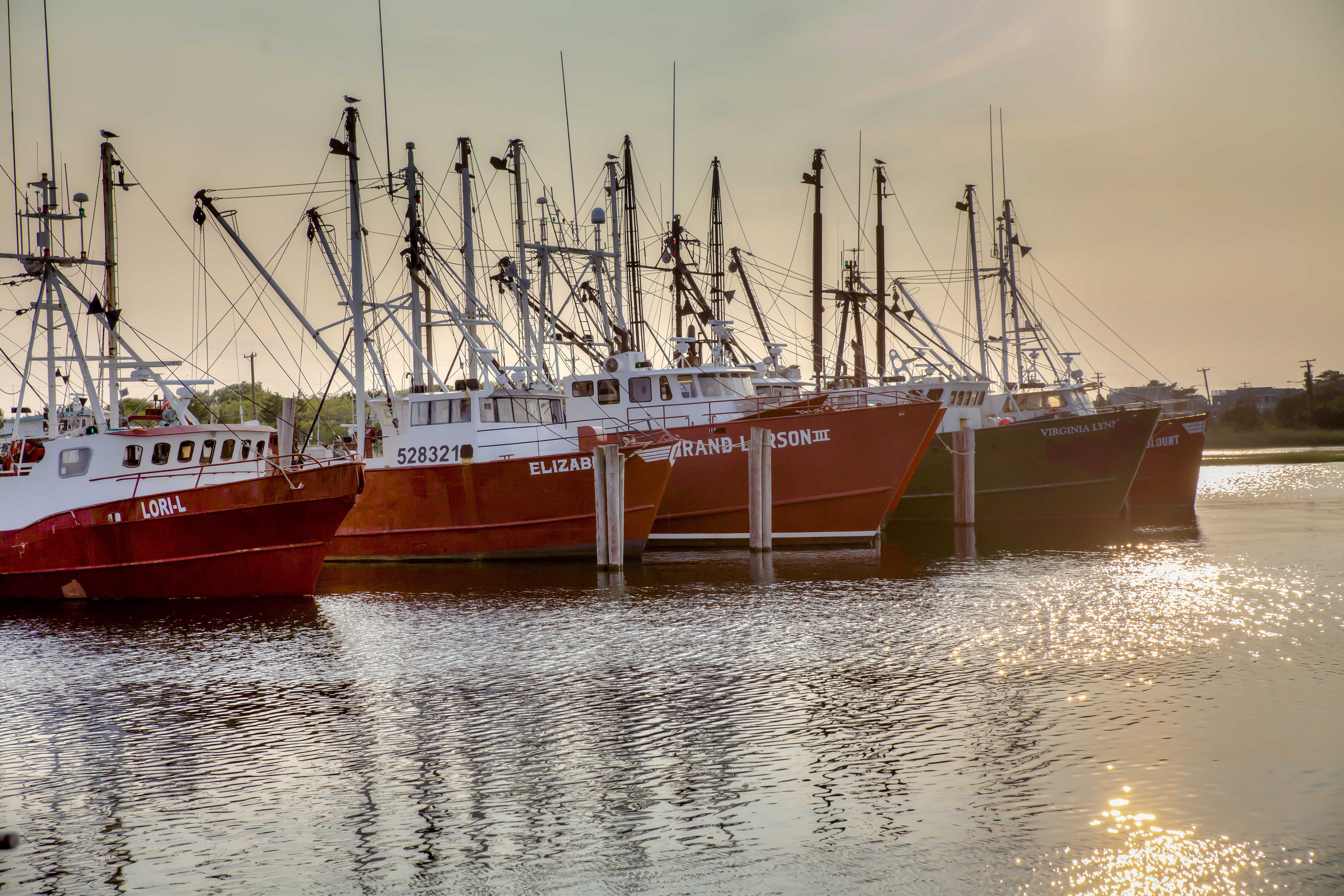 _MG_3271__1__2_tonemapped.jpg