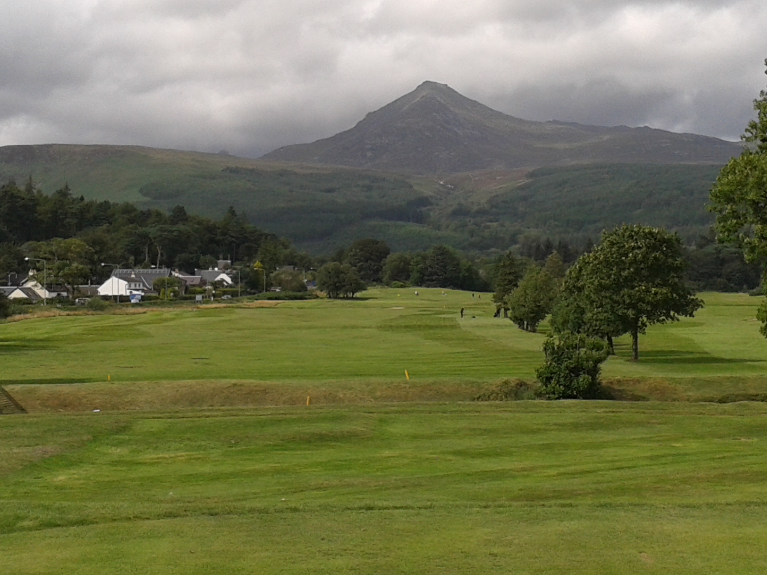 20140811_150334.jpg