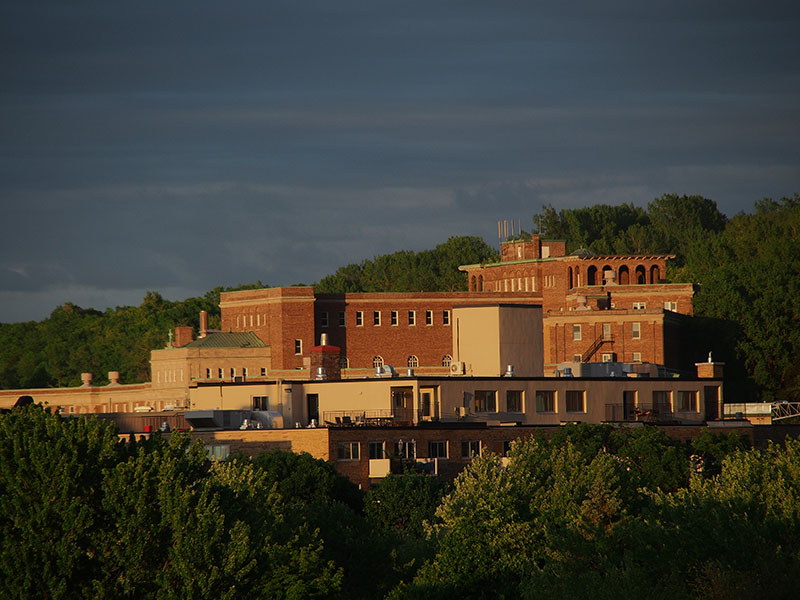 P5310091.jpg