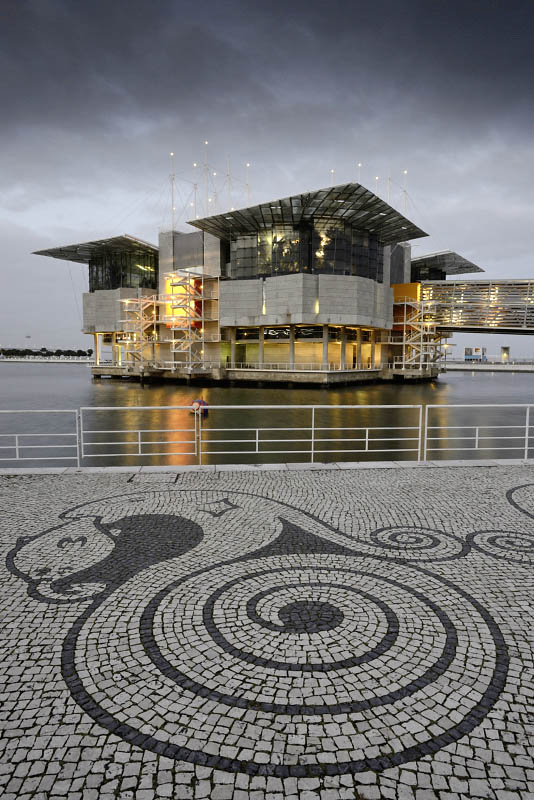 Lisbon Oceanarium