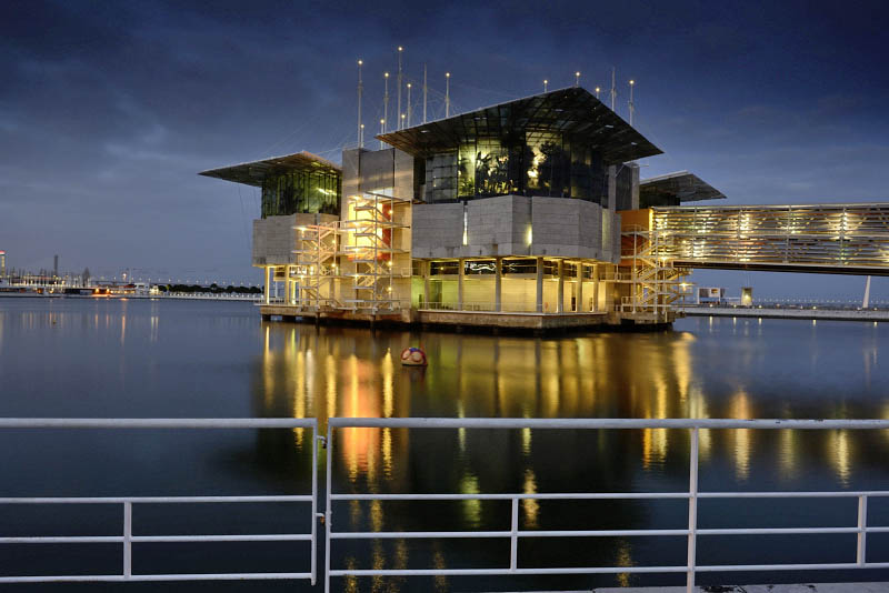 Lisbon Oceanarium