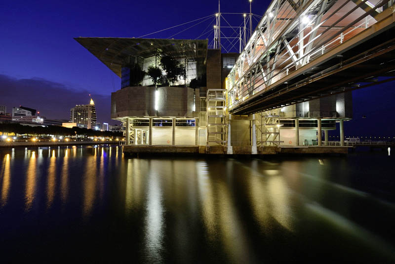 Lisbon Oceanarium