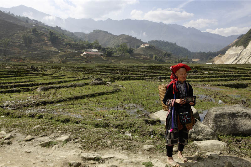 Sapa