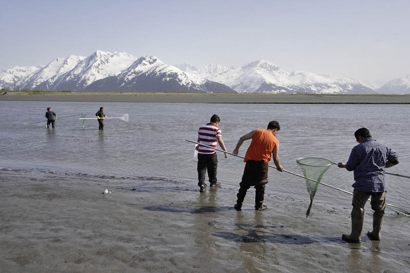 Fishing at Turnagain Arm