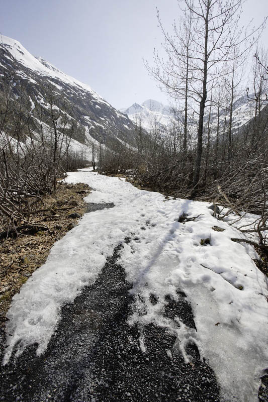 Byron Glacier Trail