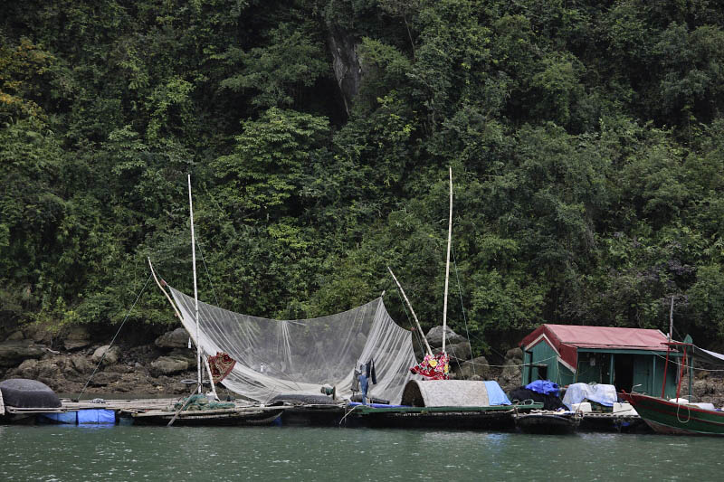 Halong Bay Cruise