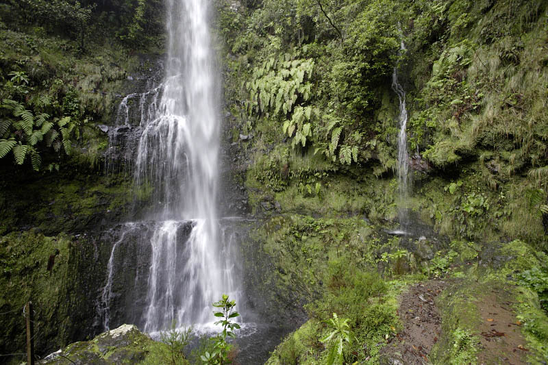 Madeira Island, Portugal