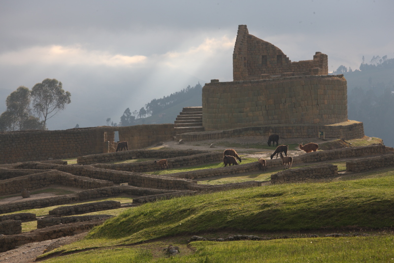 Ingarpica, Ecuador