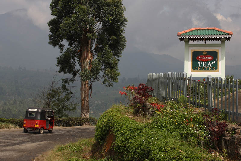 St Clairs Tea Center