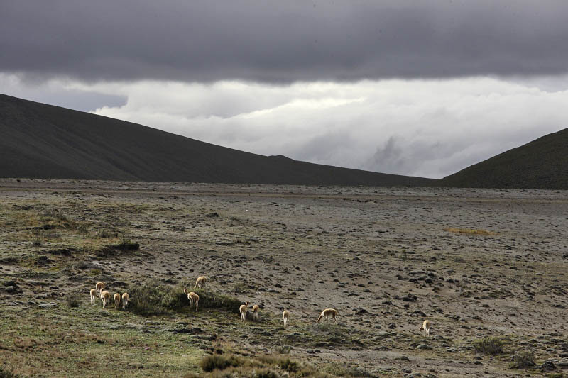 Chimborazo, Ecuador