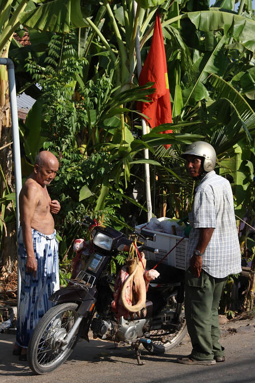 Mekong Delta