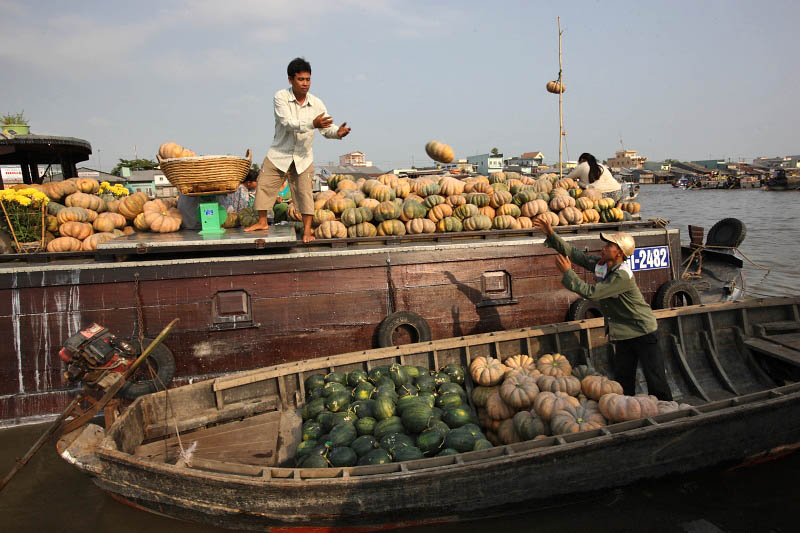 Mekong Delta