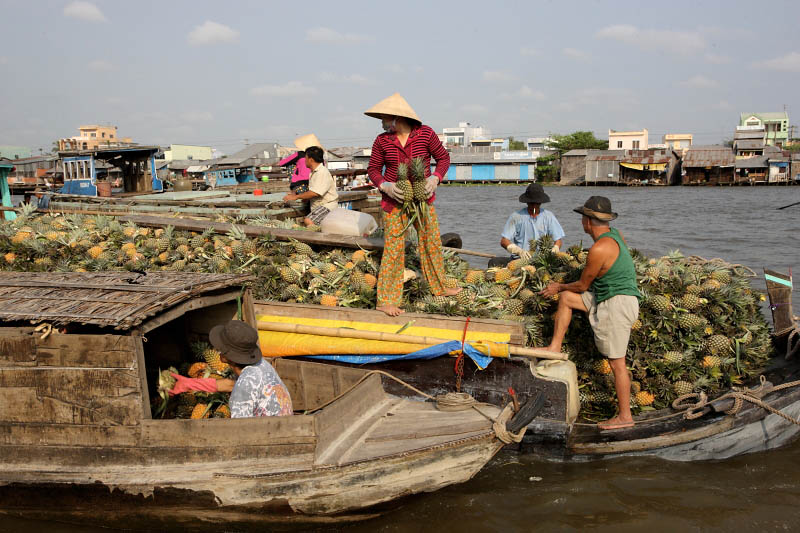 Mekong Delta