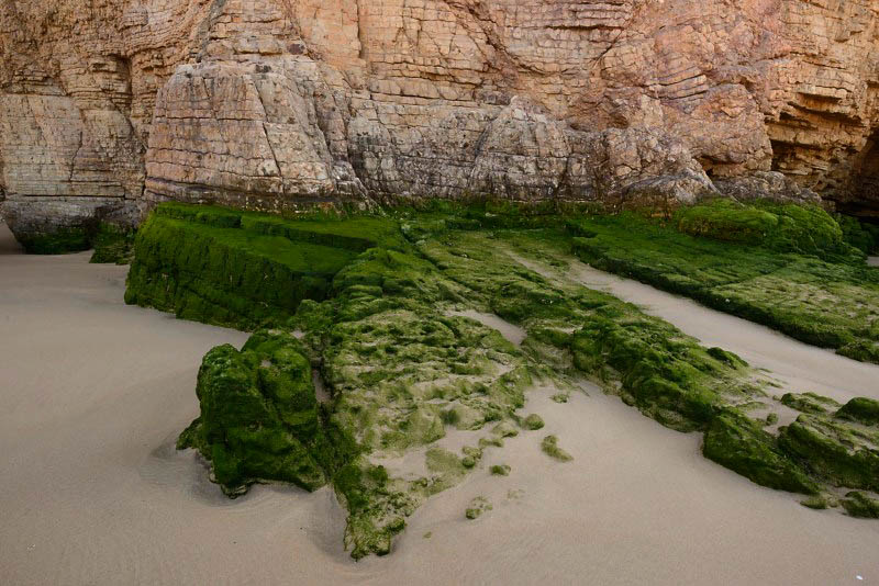 Beliche 