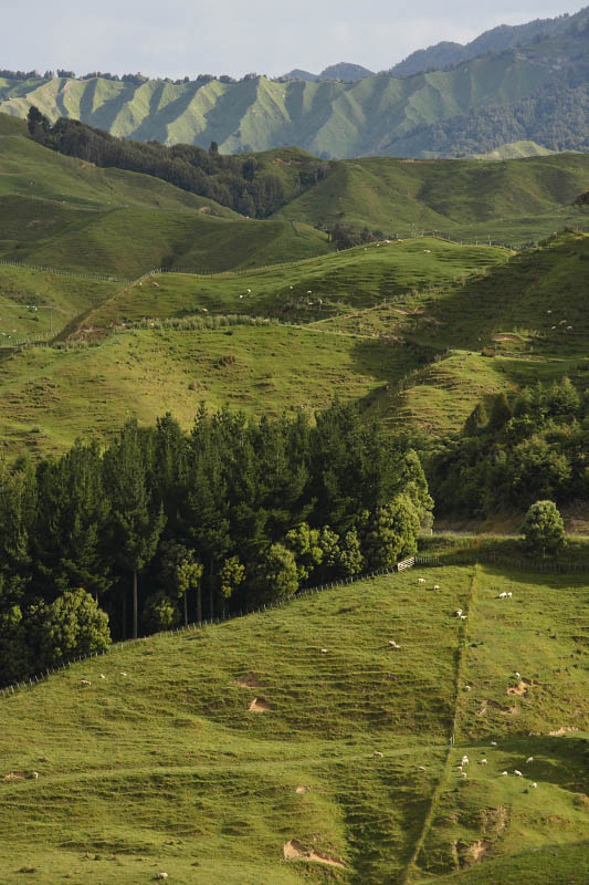 North Island, New Zealand