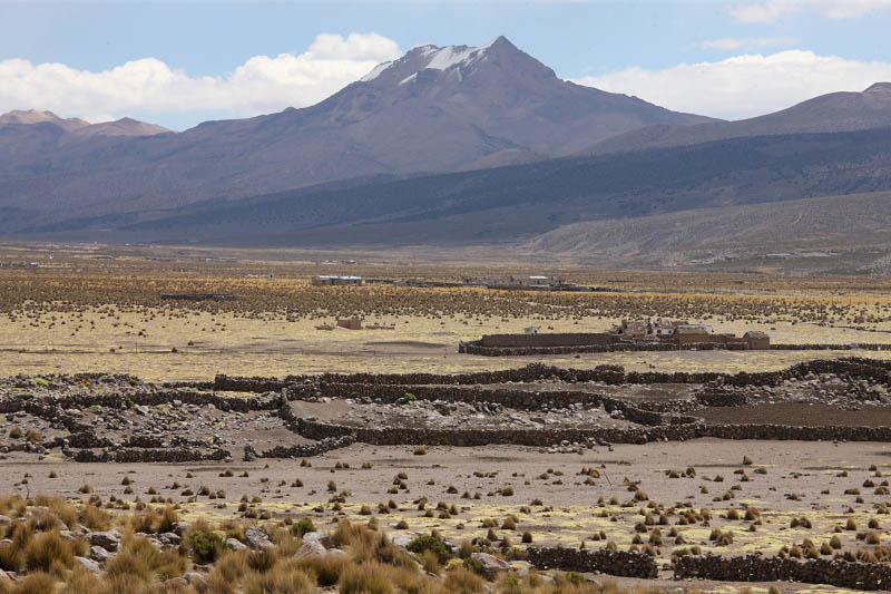 From Sajama National Park to Oruro