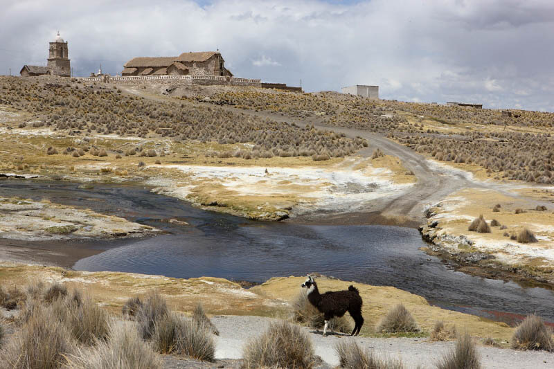 Sajama National Park