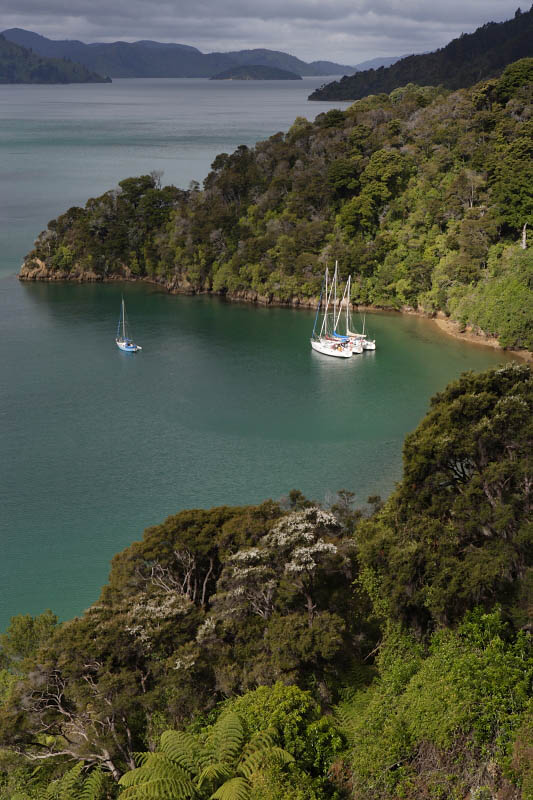 South Island, New Zealand