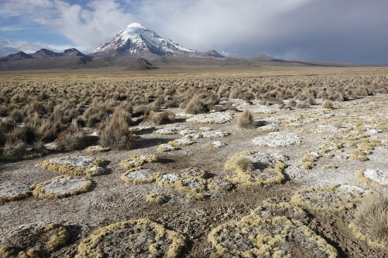 Sajama National Park