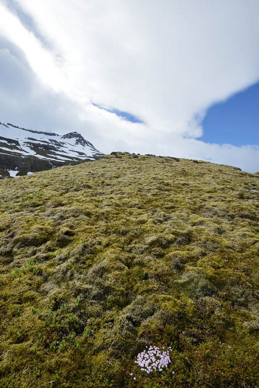 Near Klifbrekkufossar