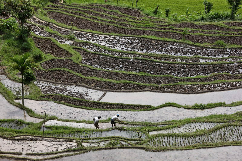 Bali Island, Indonesia