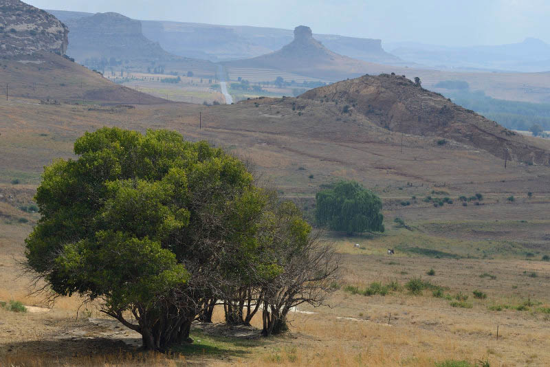 From Golden Gate Highlands National Park to Johannesburg