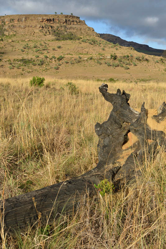 Golden Gate Highlands National Park