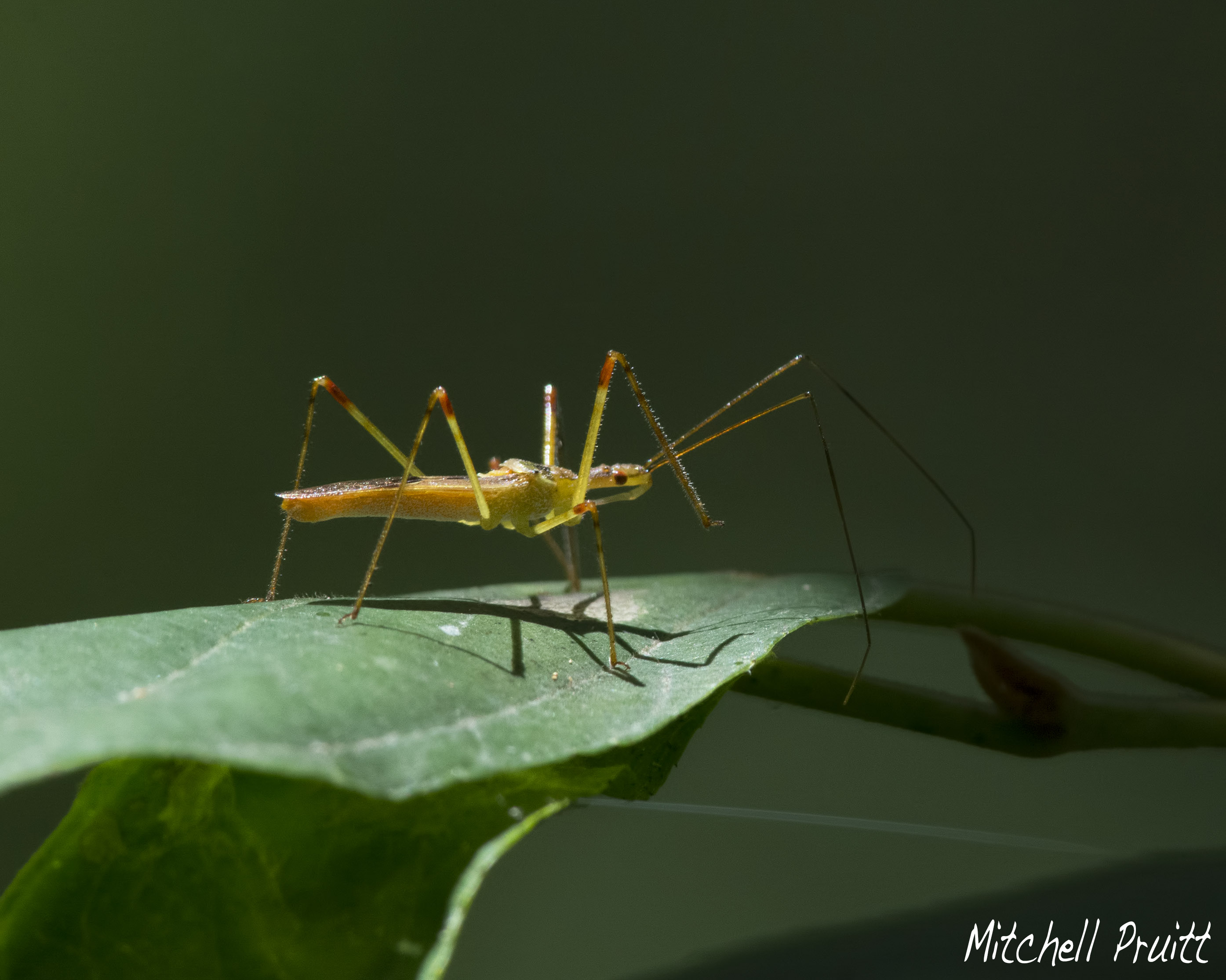 DSC_6040.jpg