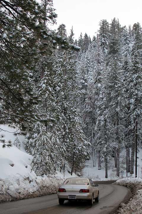 Snow 8