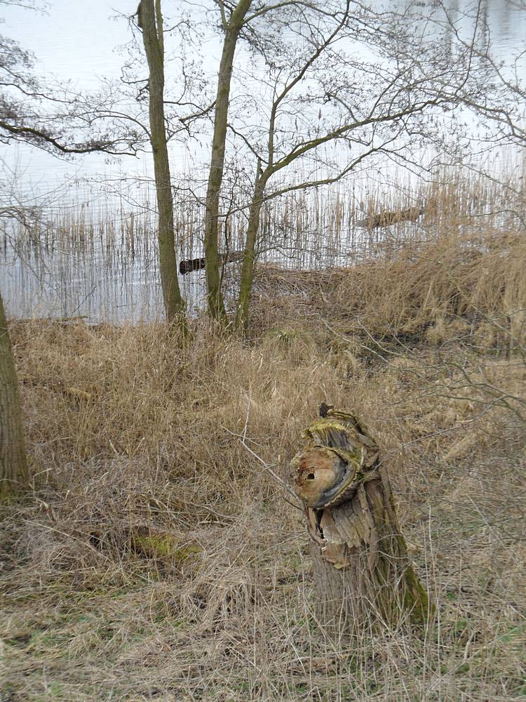 13_dekenale wandeltocht.jpg