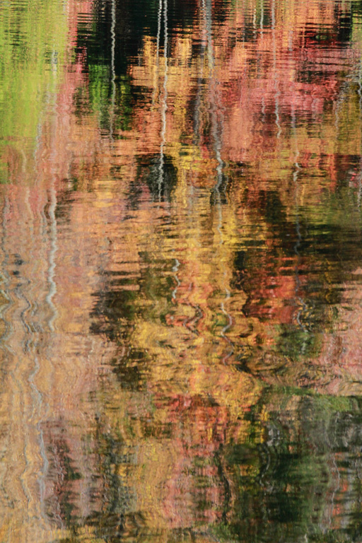 Fall Reflections 9517.jpg