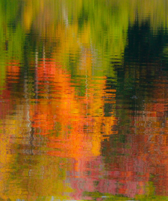 Fall Reflections 9518.jpg