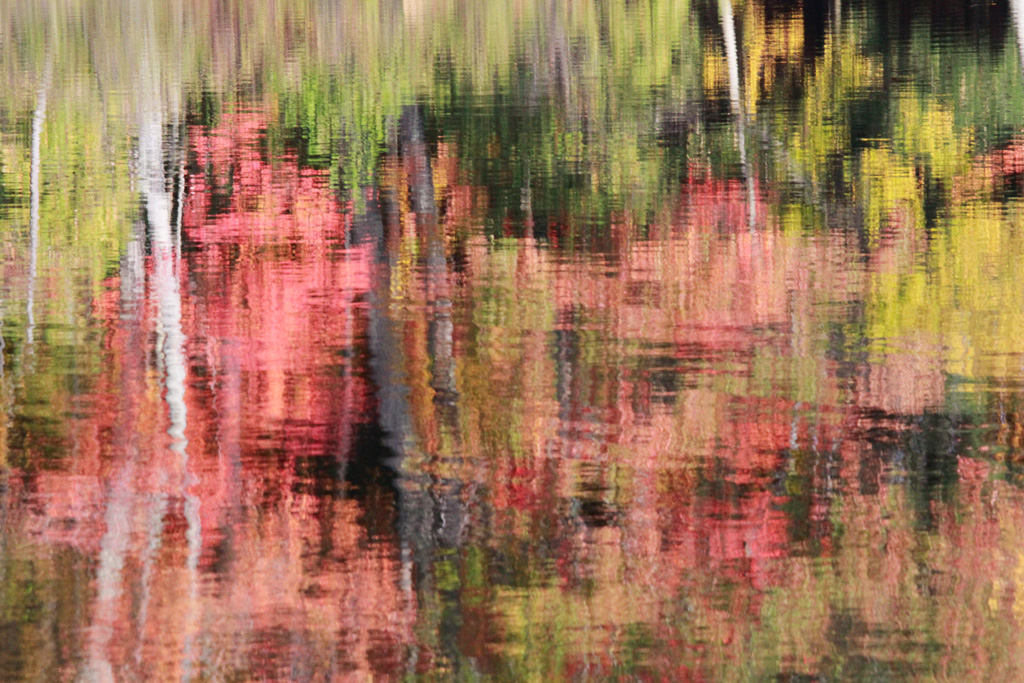 Fall Reflections 9545.jpg