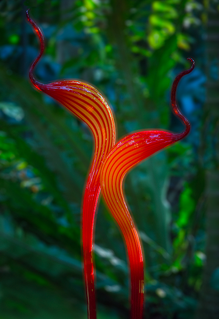 Rainforest Fiori