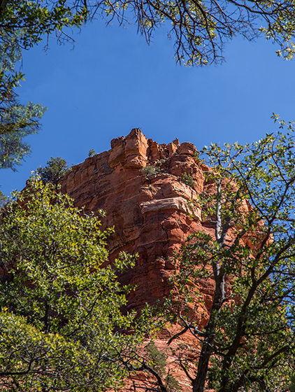 _MG_5418.jpg