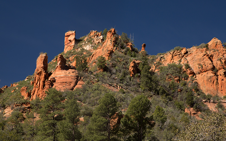 _MG_5963.jpg