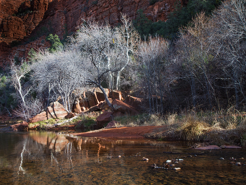 Red Rock 6917.jpg