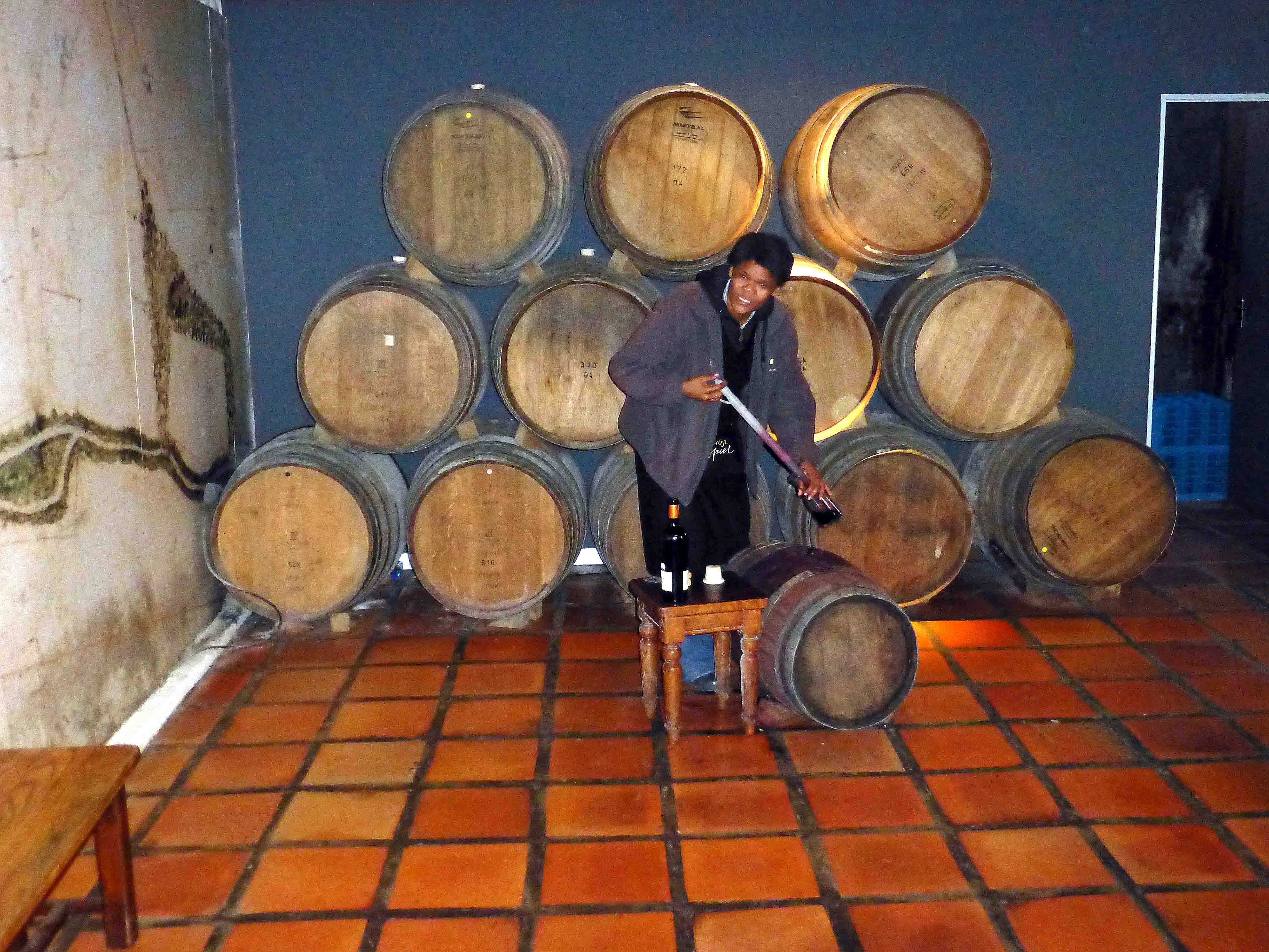 Barrel Thieving at Spier Wine Farm