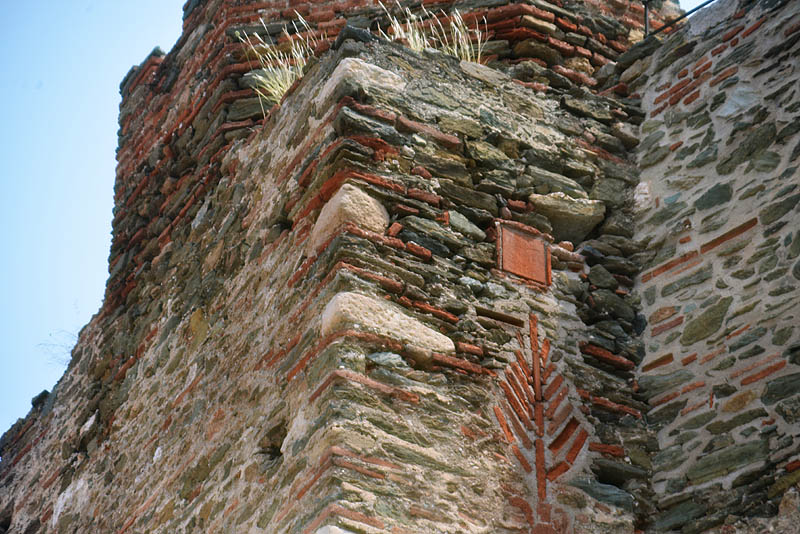DSC_1584ab.jpg