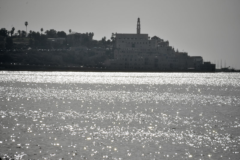 DSC_2063ab.jpg