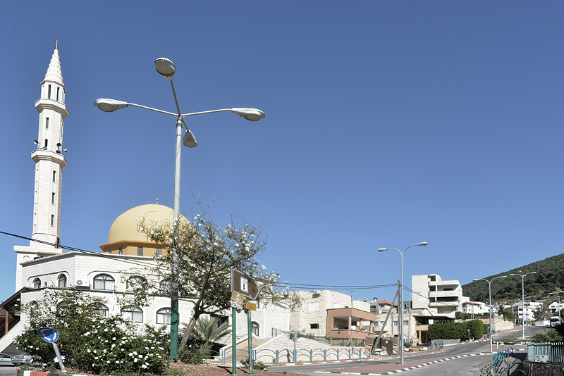 DSC_2558ab.jpg