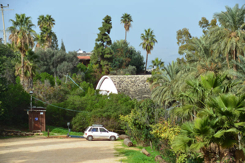 DSC_3102ab.jpg