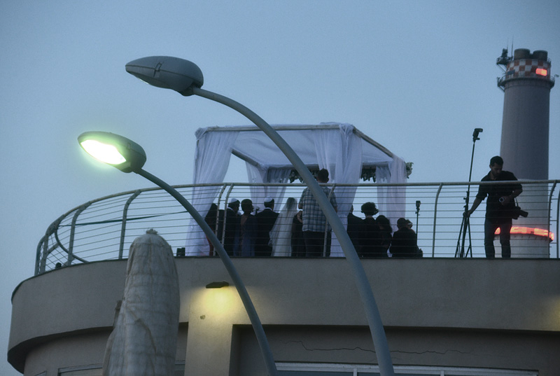 DSC_3520ab.jpg