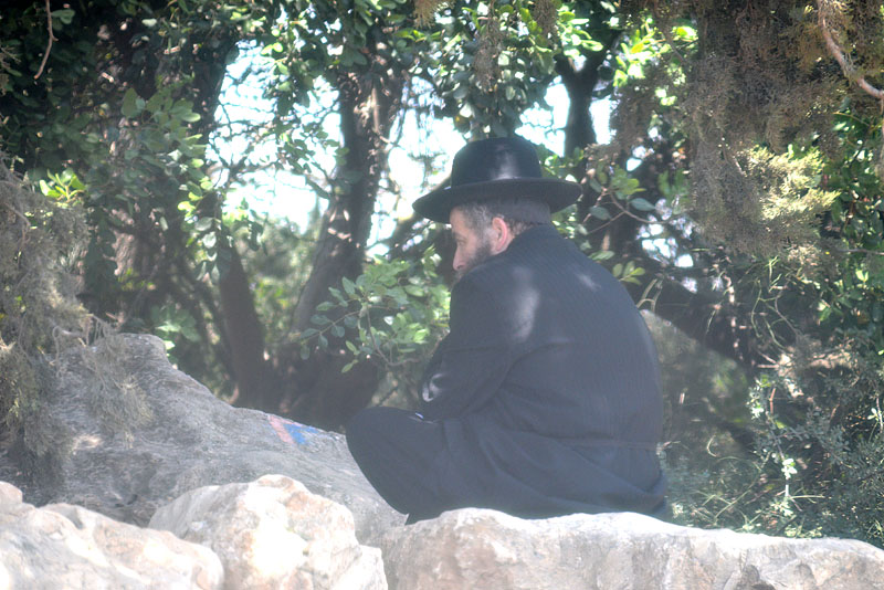 DSC_3568ab.jpg