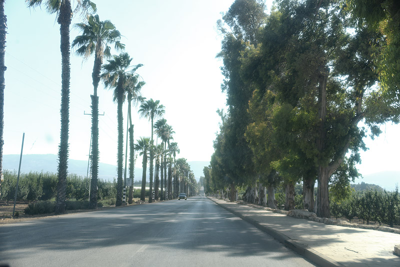 DSC_3577ab.jpg