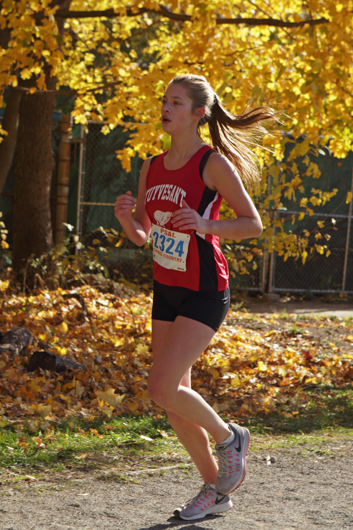 cribb_20161112_4442.jpg