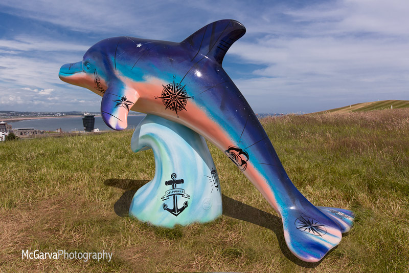 08 - Delphinus - Star Navigator