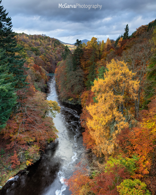 Autumn Vista